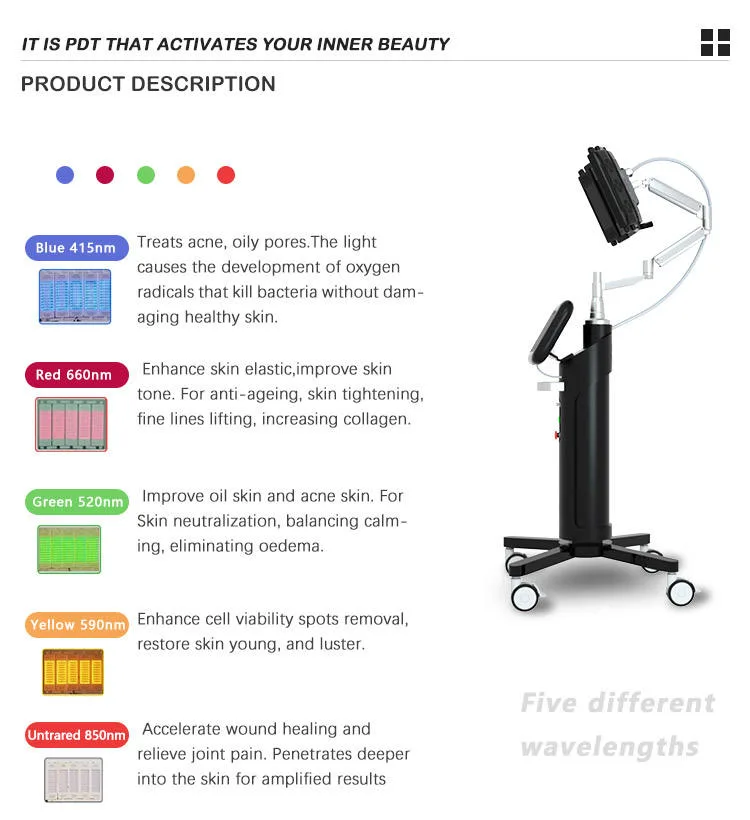 Unraveling the Myth: Can Red Light Therapy Cause Cancer? 2 Can Red Light Therapy Cause Cancer