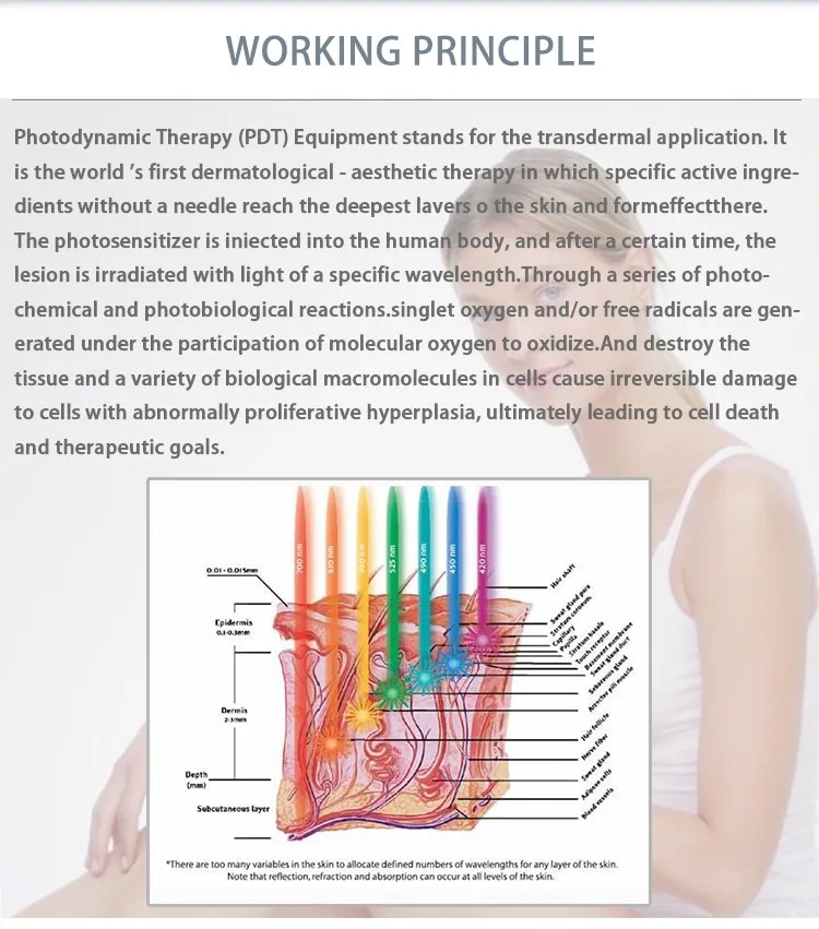 Unraveling the Myth: Can Red Light Therapy Cause Cancer? 5 Can Red Light Therapy Cause Cancer